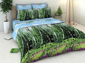 Василиса 2366 Березки 
